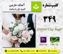 تک کلیپ 349-انگلیسی اکشن