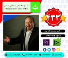 تک کلیپ433-کلیپ عقد مارتیک